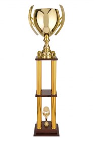 Trofee Sportive TS 100